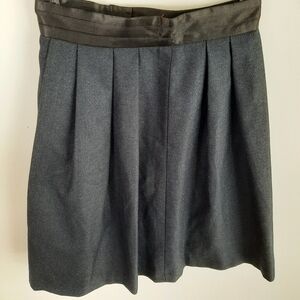Mini Skirt NWT Dark Navy Pleated & Lined Size S